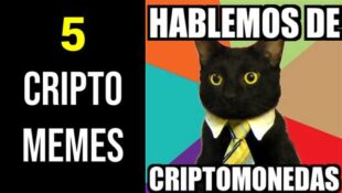 Criptomonedas Memes Academia Simple